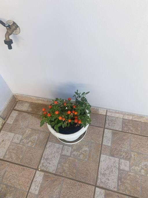 New Lovely Apartment In Heraklion Exterior foto